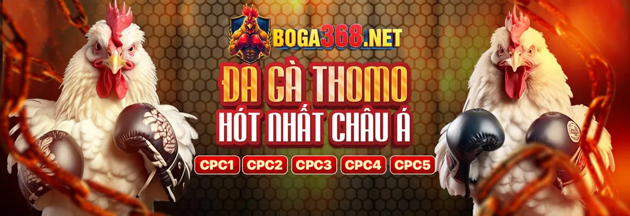 Hình ảnh chính blog TJ77 Link Mới