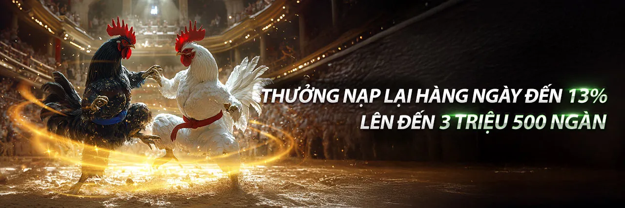 Đá Gà Trực Tuyến TJ77 Link Mới 2026
