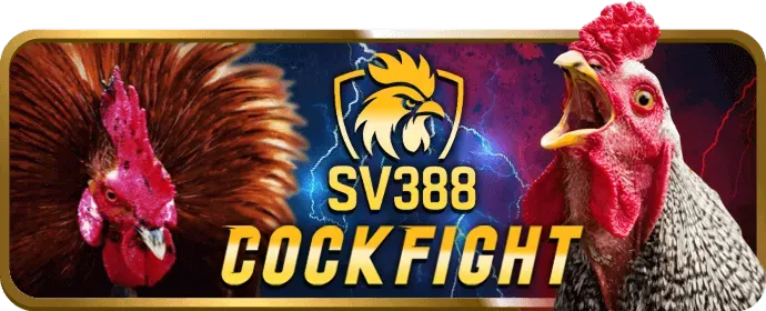 Video slot với đồ họa hiện đại
